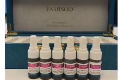 China Famisoo Permanent Makeup Eyebrow Pigment Kit For Manual Pen And Machines supplier