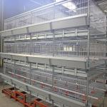 H Type 500cm2 Meat Chicken Cage , ISO9001 3/4 Tiers Broiler Poultry Equipment for sale