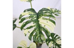 China 80cm Artificial Monstera Potted Plant No Nursing Low Maintenance supplier