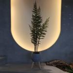 Artificial Green Plastic Palm Trees for Indoor/Outdoor Use