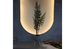 China Artificial Green Plastic Palm Trees for Indoor/Outdoor Use supplier