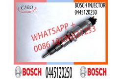 China High quality engine common rail injector nozzle 0445120250 supplier