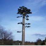 ANSI Bionic Tree Single Tube Camouflage Cell Tower for sale