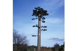 China ANSI Bionic Tree Single Tube Camouflage Cell Tower supplier