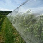 Insect Bird Barrier Netting Mesh for Vegetables Fruit Flower from Damage Ventilate Durable and Reused Perfect for Garden for sale