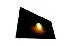 China 55.0 inch LCD Screen panel LD550DUN-TGA1 for LCD Video wall supplier