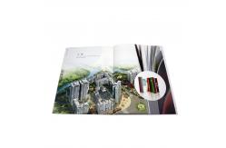 China Coated Paper Colouring Book Printing Digital Booklet Brochure Printing supplier