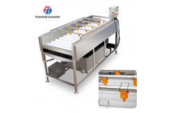 China 2.5KW Vegetable Parallel Roller Cleaning Machine High Pressure Spray Fruit Washing Machine supplier