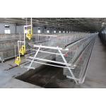 Automatic Layer Baby Broiler Chick Cage Poultry Farm Equipment Pullet  275g / M2 for sale