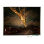 LTM12C505 12.1 inch 1024*768 TFT-LCD Screen Display for sale