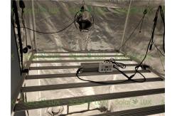 China Full Spectrum PWM Samsung LM301B Osram 650Watt Horticultural LED Grow Light supplier