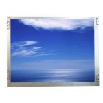 12.1 inch 82ppi lcd screen G121SN01 V402 AUO IPS TFT LCD Display for Industry for sale