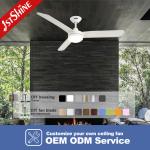 3 Blades 3 Speed Reversible Remote Control Modern Ceiling Fan For Bedroom