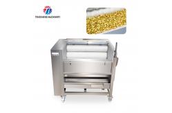 China Carrot Brush Commercial Electric Potato Peeler , Sweet Potato Scraper Machine supplier