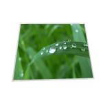 AUO 19 M190EG02 V4(B) 1280*1024 a-Si TFT-LCD , LCM  Screen Panel for sale