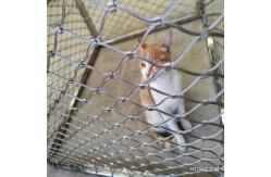 China Flexible Knotted 7 X 19 Zoo Wire Mesh Fencing Animal Enclosure supplier