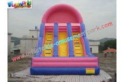 China Popular Commercial Inflatable Slide Double Line , Giant Slide Toys supplier