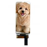 RGH 6.5inch Lcd Touch Display 720（RGB）X1600 With 16 leds Backlights for sale