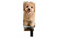 China RGH 6.5inch Lcd Touch Display 720（RGB）X1600 With 16 leds Backlights supplier