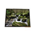 AA142XC03 14.2 inch 1024*768 TFT-LCD Screen Display For Laptop for sale