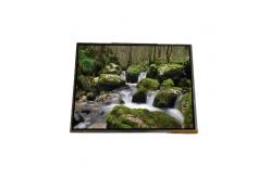 China AA142XC03 14.2 inch 1024*768 TFT-LCD Screen Display For Laptop supplier
