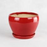 Affordable And Durable Ceramic Pots For Your Plants Custom Designs Available
