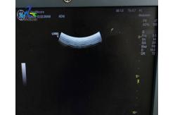 China GE 4C-RS Convex Probe Ultrasound Transducer Lens Replacement supplier