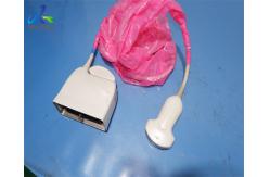 China Abdominal Ultrasound Transducer Probe Curved Array  C5-1 Broadband supplier