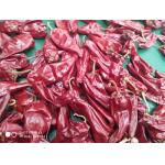 Stemless Yidu Chili 10cm-15cm Red Jinta Chilli Pepper for sale