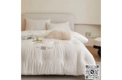 China Cotton Winter Quilt Double Thick Spring And Autumn Quilt supplier