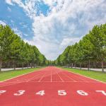 UV Resistance Permeable Sandwich System Running Track Waterproof for sale
