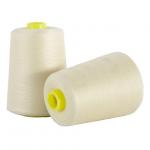 40/2 50/2 20/2 100% Spun Polyester Dyed Sewing Thread With Plastic Cone for sale