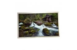 China 10.1 inch HSD100IFW1-C00 60PIN LCD LED Screen Display Panel supplier