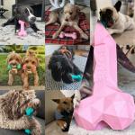Pet Tooth Cleaning Interactive Bone Toys  Aggressive Chewers Chewing Satisfaction Guaranteed