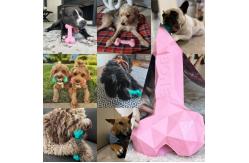 China Pet Tooth Cleaning Interactive Bone Toys  Aggressive Chewers Chewing Satisfaction Guaranteed supplier