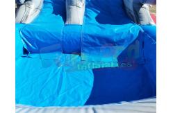 China Water Park Plato Commercial Inflatable Slide With Pool supplier