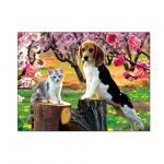 Lovely Cats And Dogs 3D Lenticular Pictures Printing Customized Size for sale