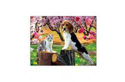 China Lovely Cats And Dogs 3D Lenticular Pictures Printing Customized Size supplier