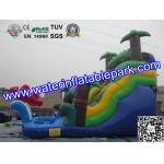 Bounce House Charming Inflatable Slide , Kids Inflatable Water Slides Pool
