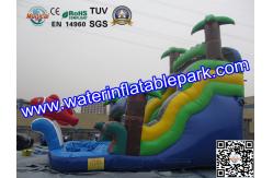 China Bounce House Charming Inflatable Slide , Kids Inflatable Water Slides Pool supplier
