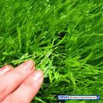 Monofilament Artificial Plastic Grass Good Water Permeability Green