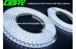 China Shock Resistant LED Flexible Strip Lights 5500k For Humidity Underground Environment supplier