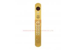 China Titanium Gold Lift Cop Panel Any Optional Button With Box Side Opening supplier