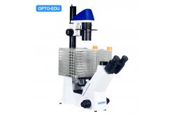 China Opto-Edu A14.2604 Inverted Optical Trinocular Phase Contrast Cell Factory Microscope supplier