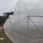 3x15m HDPE Mosquito Window Screen Used In Greenhouse Garden