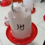 3L Poultry Plastic Chicken Feeders And Waterers for sale