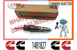 China fuel injector 1464994 579251 1529790 1473430 1481827 1511696 1521978 1764364 579263 1499257 supplier