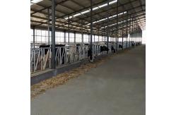 China Customized Self Closing Cattle Head Lock Gates Large Fixed supplier