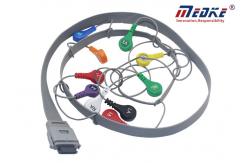 China Biomedical Instruments AHA 10 Lead ECG Holter Cable For BI9800 Edan supplier