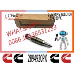Common rail injector fuel injecto 2894920PX 2058444 2482244 2031386 1933613 2030519 for ISZ13 Excavator DC09 DC16 DC13 for sale